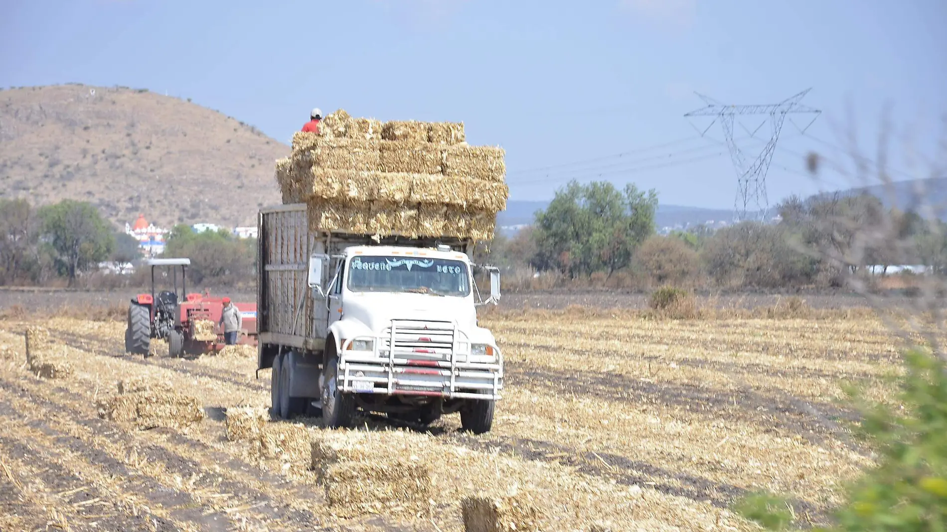 El campo de Querétaro registró un descenso del 73 por ciento en su asignación del